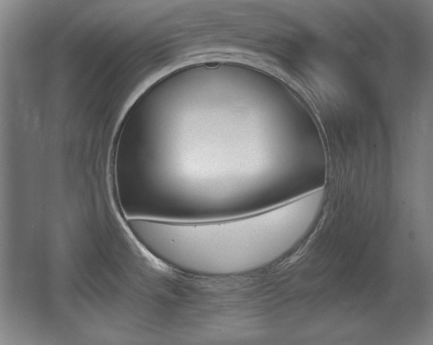 X0000068261533200604210901