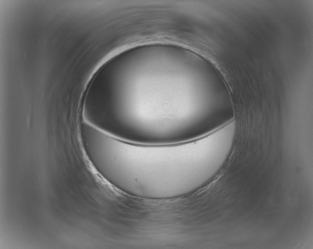 X0000068261534200604210901