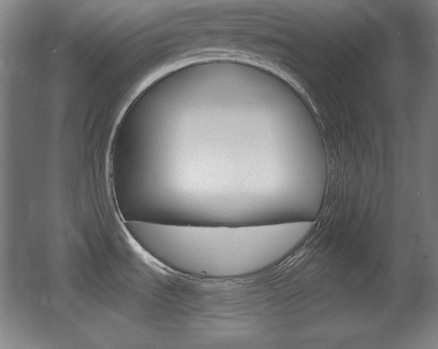 X0000068261535200604210901