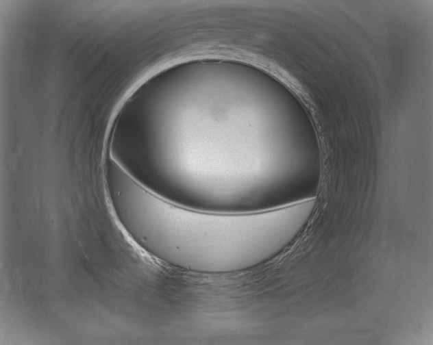 X0000068261536200604210901