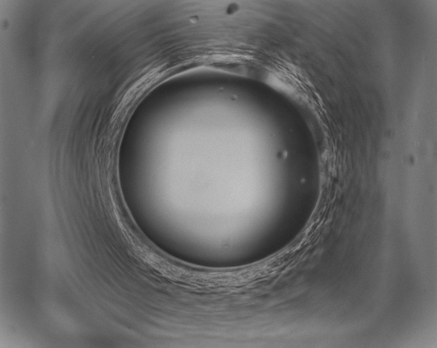 X0000068260001200604211056