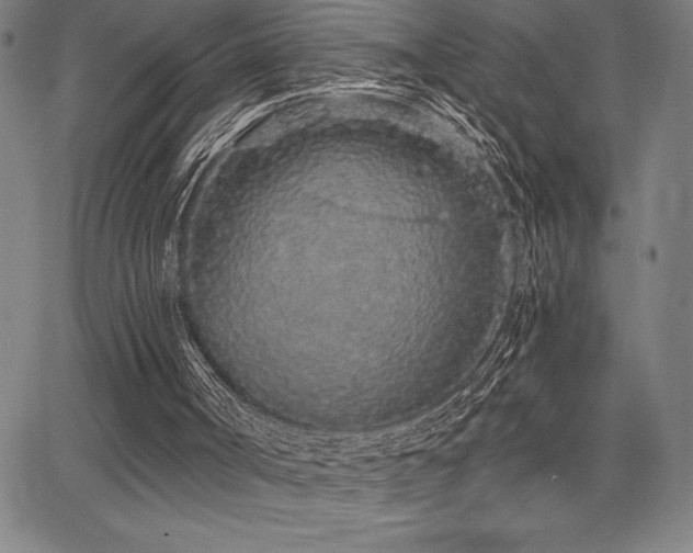 X0000068260002200604211056