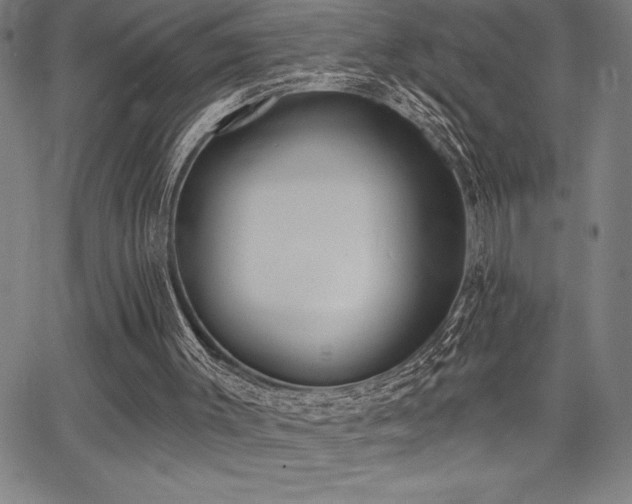 X0000068260003200604211056