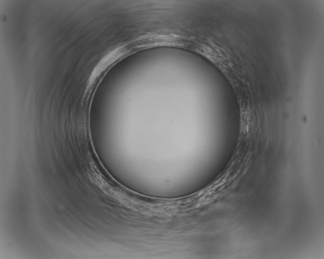 X0000068260004200604211056