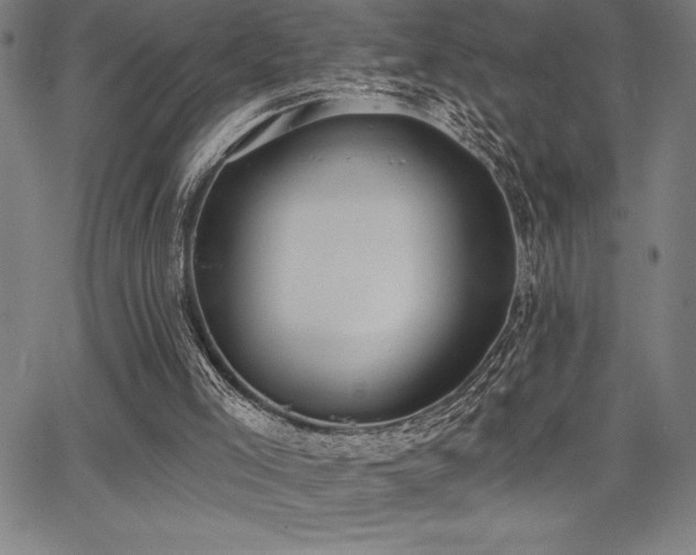 X0000068260005200604211056