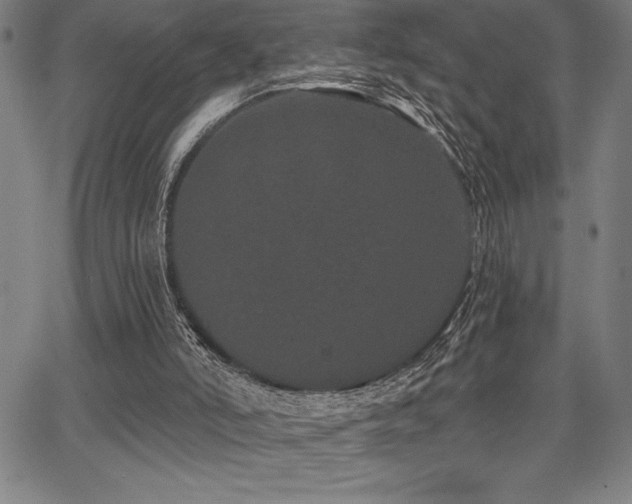 X0000068260006200604211056