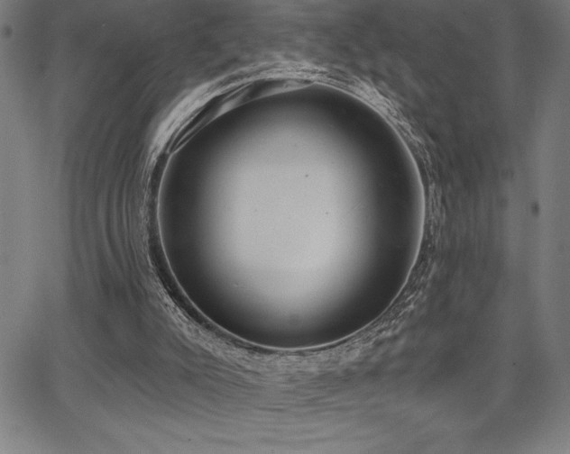 X0000068260007200604211056