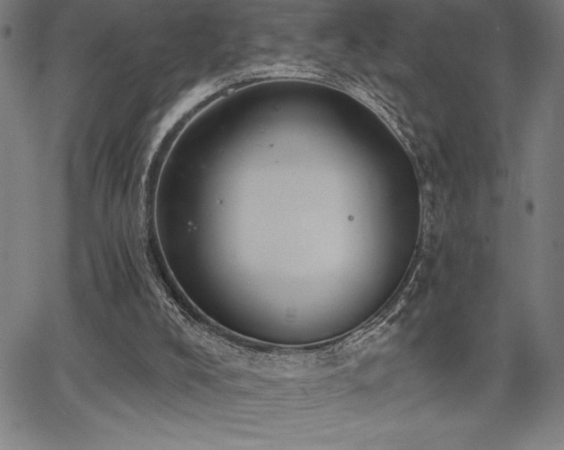 X0000068260008200604211056