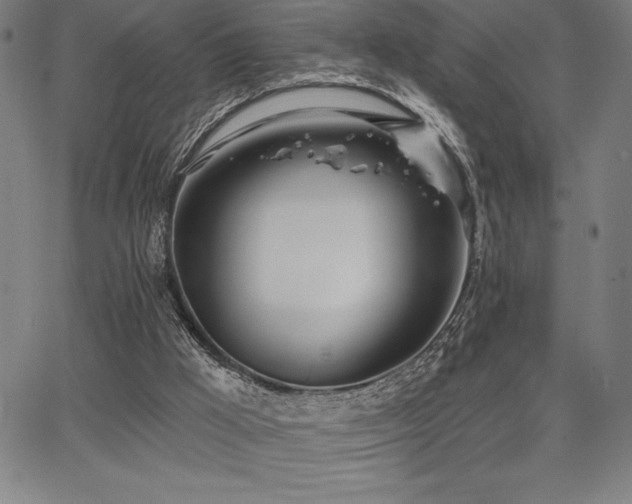 X0000068260009200604211056