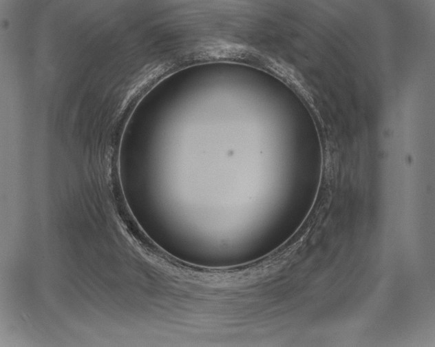 X0000068260010200604211056