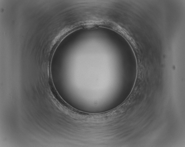 X0000068260011200604211056