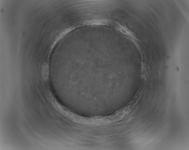 X0000068260012200604211056