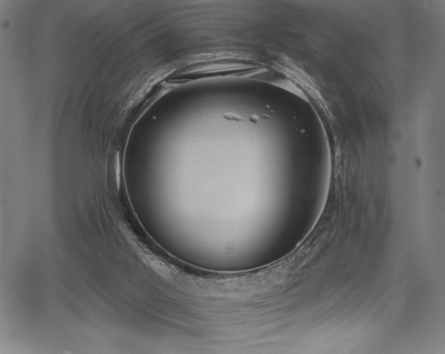 X0000068260013200604211056