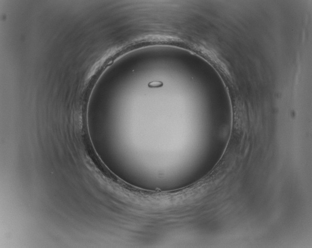 X0000068260015200604211056