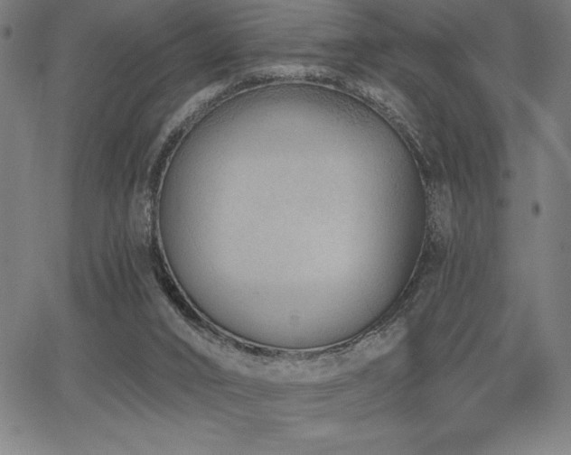 X0000068260016200604211056