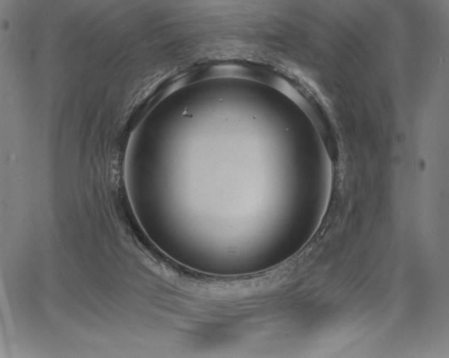 X0000068260017200604211056