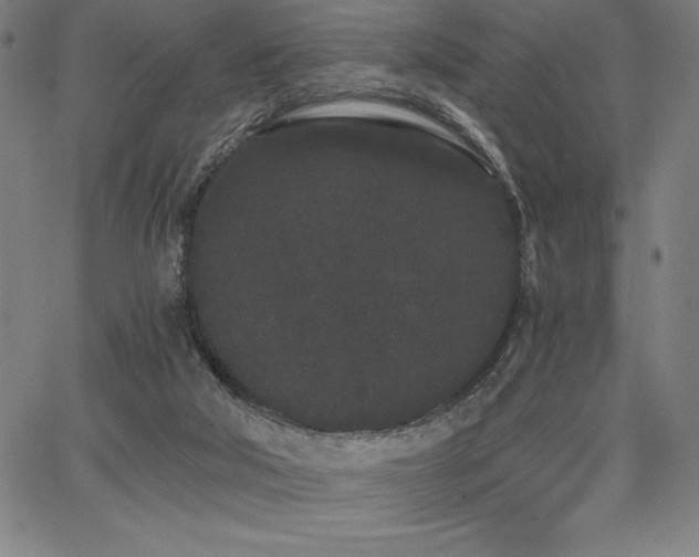 X0000068260018200604211056