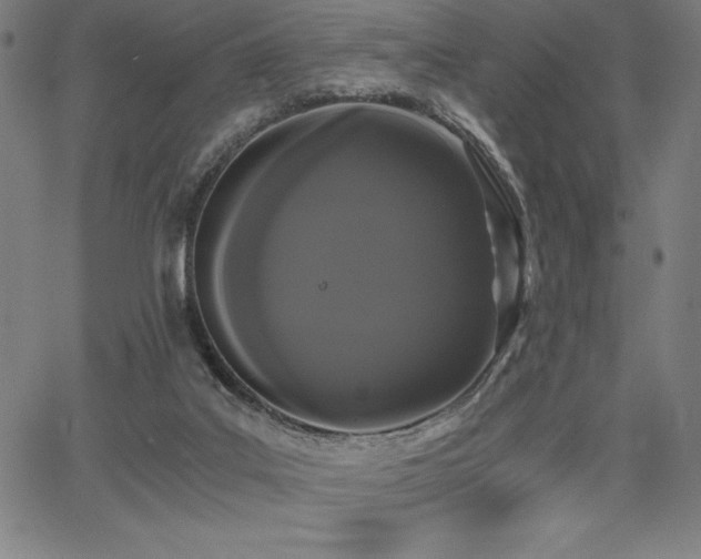 X0000068260019200604211056