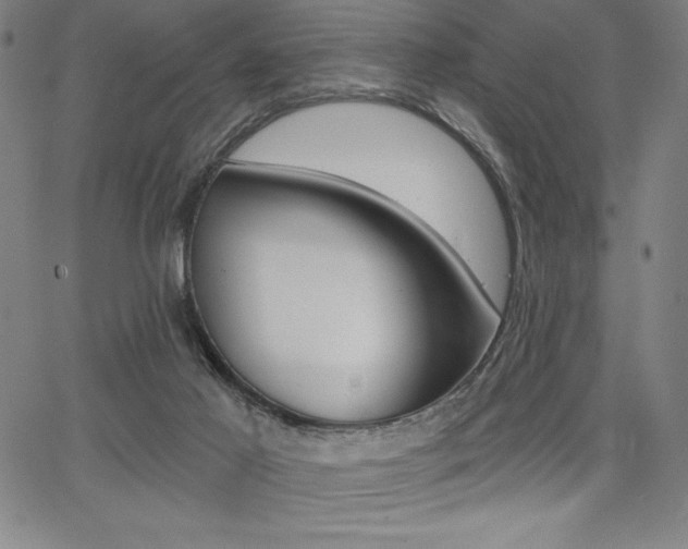 X0000068260021200604211056