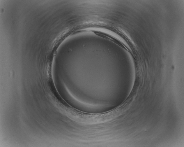 X0000068260023200604211056