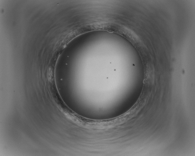 X0000068260025200604211056