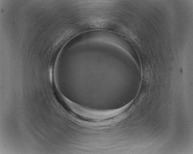 X0000068260027200604211056