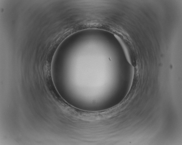 X0000068260029200604211056