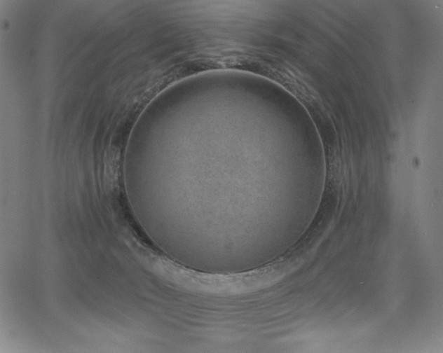 X0000068260030200604211056