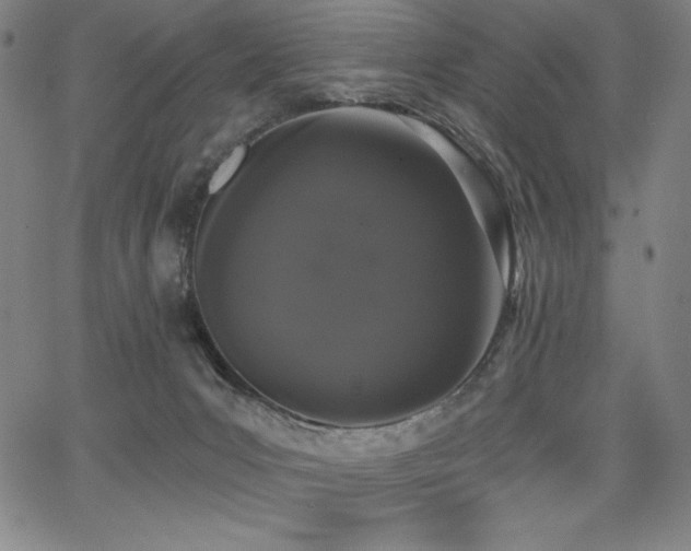 X0000068260031200604211056