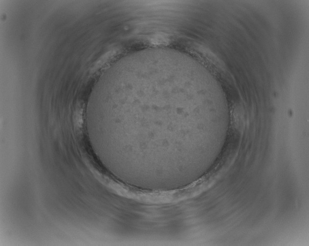 X0000068260032200604211056