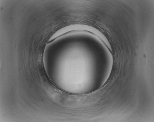 X0000068260033200604211056