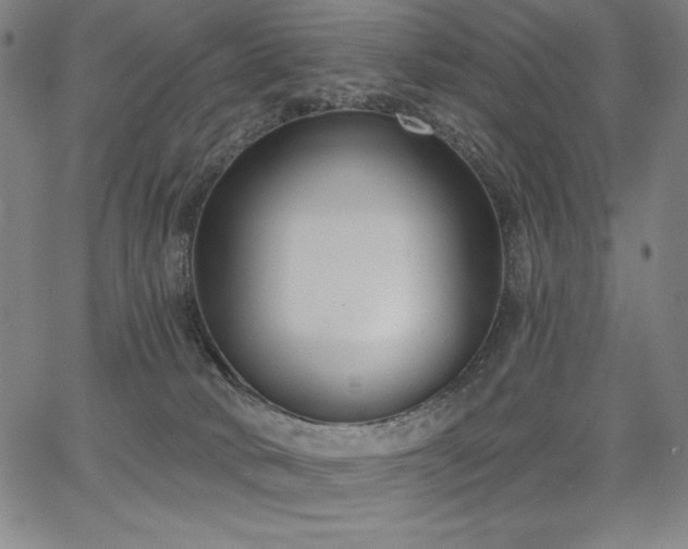 X0000068260034200604211056