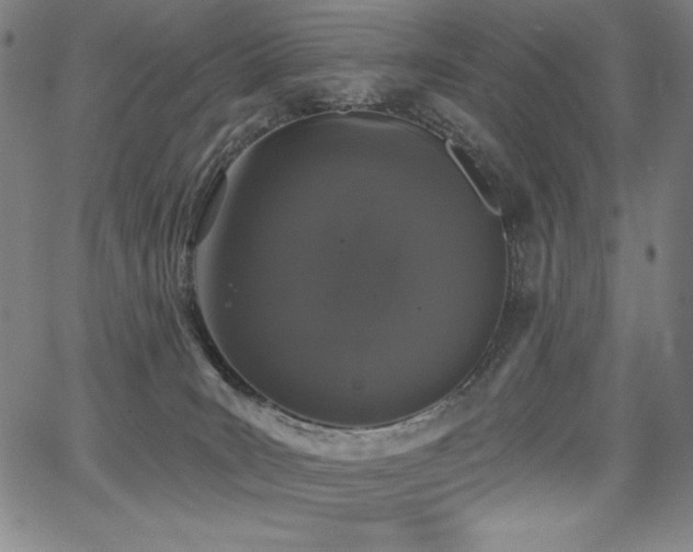 X0000068260035200604211056