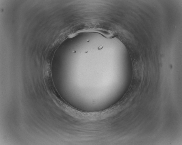 X0000068260038200604211056