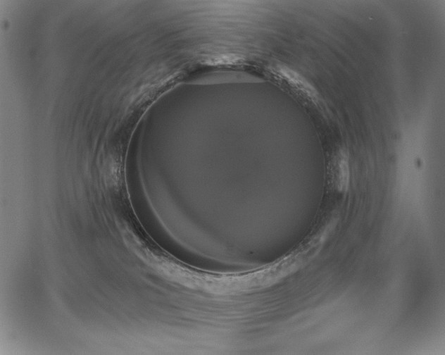 X0000068260039200604211056