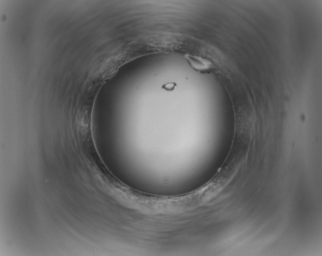 X0000068260040200604211056