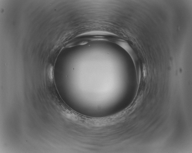 X0000068260041200604211056