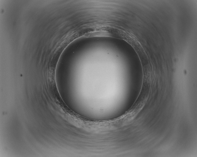 X0000068260044200604211056