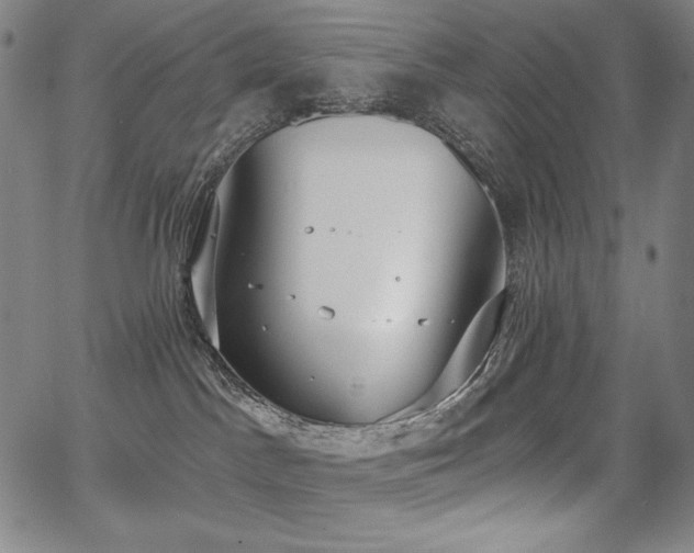 X0000068260045200604211056