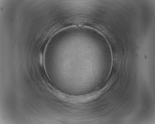 X0000068260046200604211056