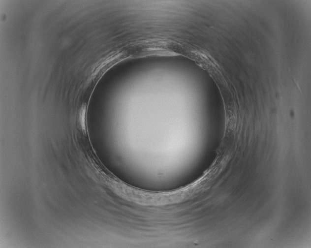 X0000068260047200604211056