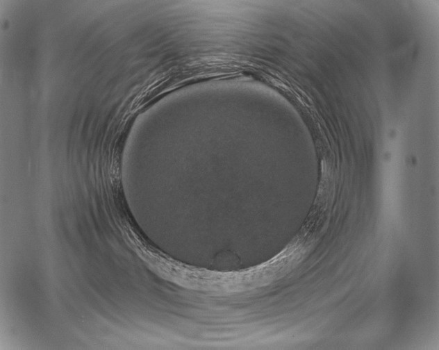 X0000068260048200604211056