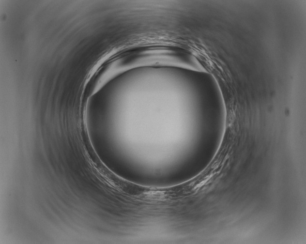 X0000068260052200604211055