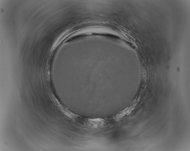 X0000068260053200604211055