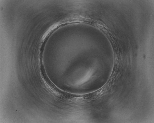 X0000068260054200604211055