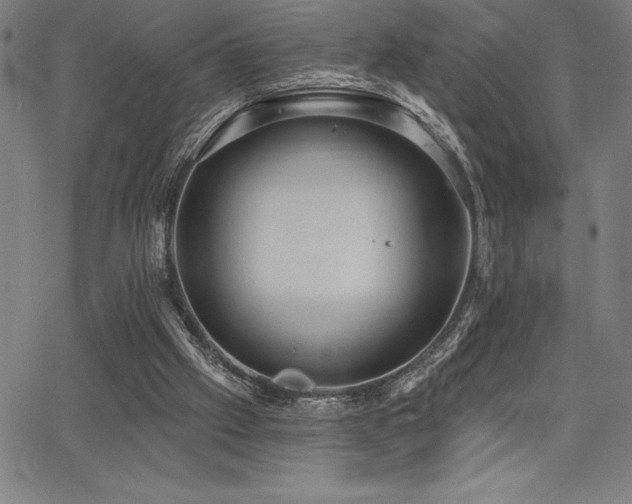 X0000068260057200604211055