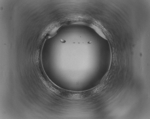 X0000068260058200604211055