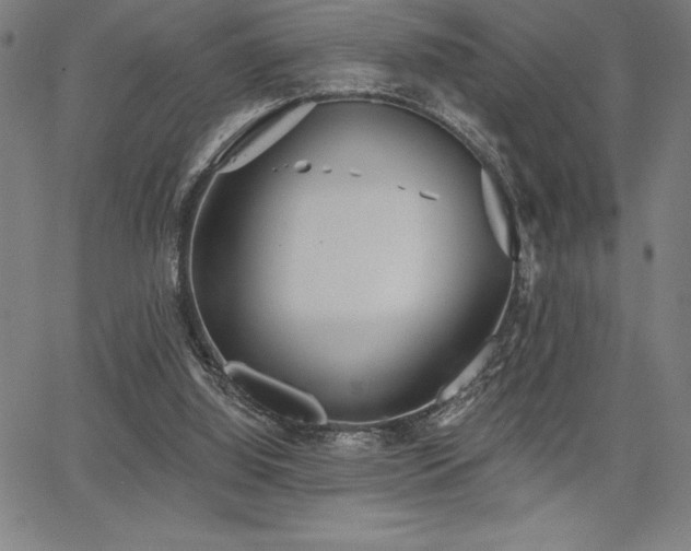 X0000068260060200604211055