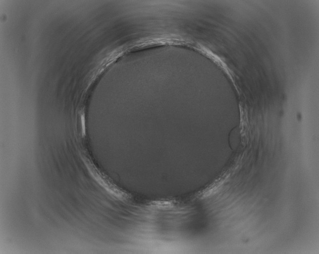 X0000068260061200604211055