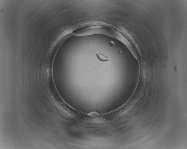 X0000068260063200604211055